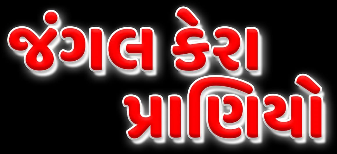 Jungle Kera Praniyo